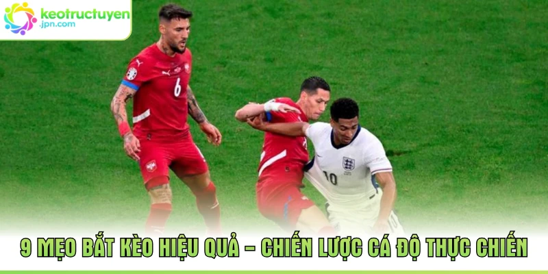 9 Mẹo Bắt Kèo Hiệu Quả - Chiến Lược Cá Độ Thực Chiến