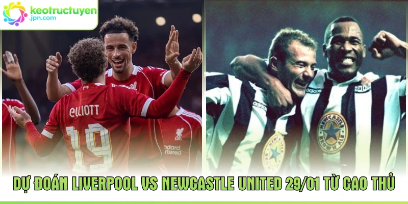 Dự Đoán Liverpool Vs Newcastle United 29/01 Từ Cao Thủ