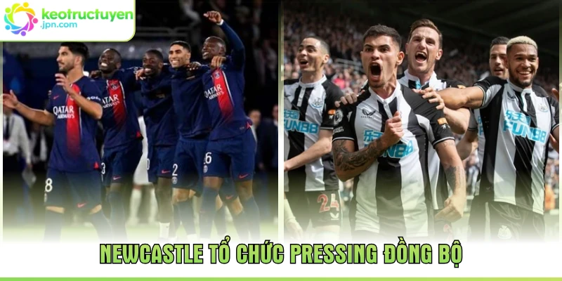 Newcastle tổ chức pressing đồng bộ